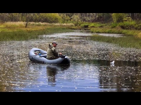 Видео: Я в шоке от этой рыбалки! Таежные приключения вторая попытка!