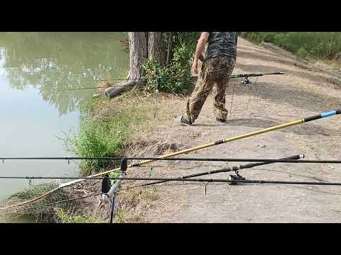 Видео: Рыбачим на озере Тополя