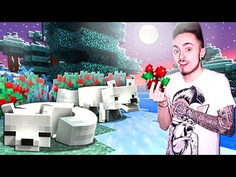 Видео: ПРИРУЧИЛИ СНЕЖНУЮ ЛИСУ В МАЙНКРАФТ!