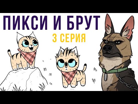 Видео: Пикси и Брут. 3 серия | Мемозг #278