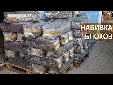 Видео: Станок для формирования грибных блоков. Агрофирма "Грибы "Урала"