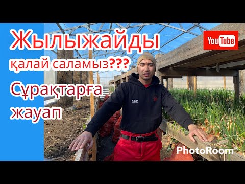 Видео: Жылыжайды қалай саламыз? Теплицаны немен қаптаған дұрыс? #жылыжай #кәсіп #теплица #2023  #зеленыйлук