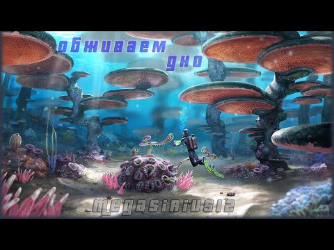 Видео: Праздную 29 день рождения на море, но не на Карибском:) Subnautica с модами и RU озвучкой!