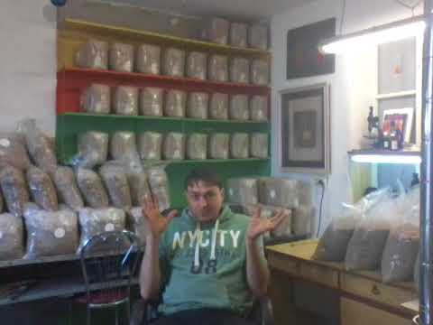 Видео: ВЕШЕНКА Почему сохнут примордии? Ошибки при изготовлении блоков