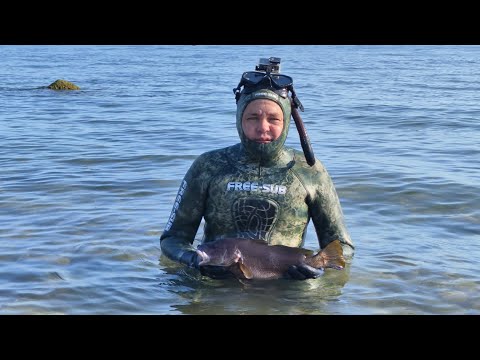 Видео: Подводная охота. Чёрное море. Горбыль 06.2025