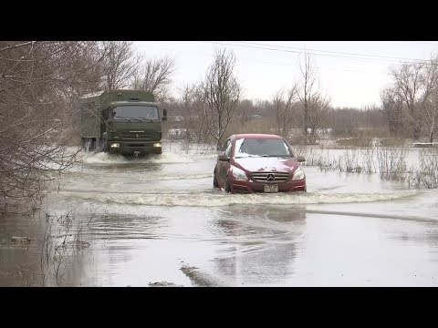 Видео: Шымкент тұрғындары суға түсіп, гүл теріп жүр