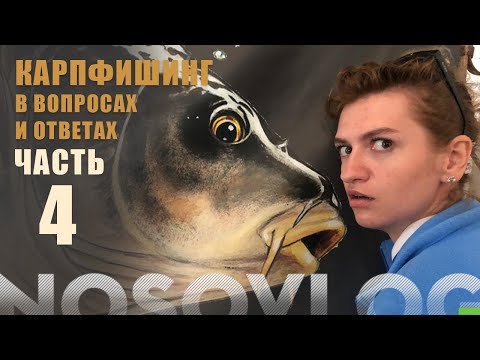 Видео: Карпфишинг в вопросах и ответах, А. Колесников, часть 4