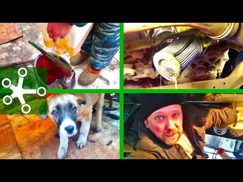 Видео: Замена масла и фильтра в КПП ZF 16S Intarder. Что такое интардер?