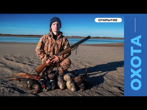 Видео: СУПЕР ОТКРЫТИЕ ОХОТЫ НА ФАЗАНА И ЗАЙЦА!!! 4 ФАЗАНА ЗА 4 минуты!!!! #охота #охотавказахстане #фазан