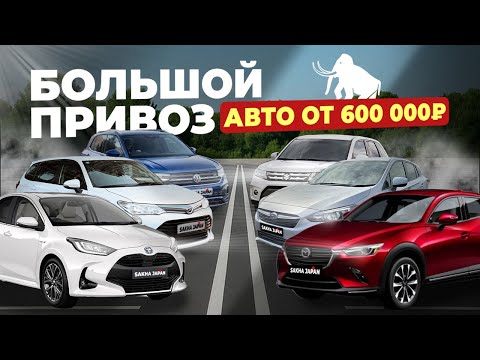 Видео: БОЛЬШОЙ ПРИВОЗ АВТО ОТ 600.000 РУБЛЕЙ🔥YARIS🔥T-CROSS🔥GOLF🔥FIT🔥STREAM🔥FIELDER🔥