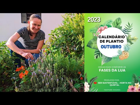 Видео: Что посадить в октябре? 📅 Календарь посадок 🌱 Сад на заднем дворе 💚