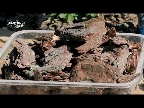 Видео: Кора Сосны и Кора Лиственницы в Вашем саду / Красота и Удобство