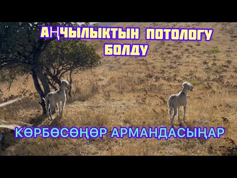 Видео: Карма эле карма ииии уууу болду бул жагы😅