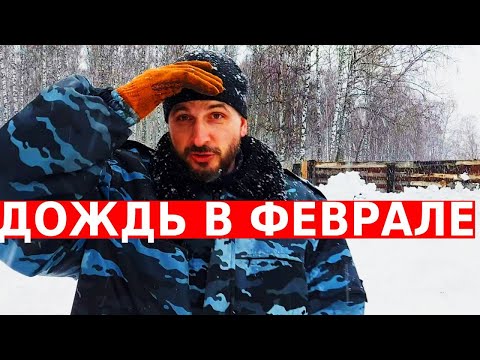 Видео: Больше ждать нельзя/сибирский пчелоблог февраль 2023