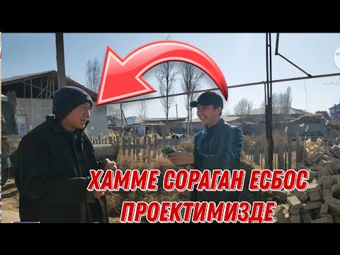 Видео: Хамме сораган есбос проектимизде енди не болады