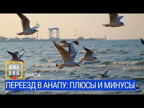 Видео: Переезд в Анапу: плюсы и минусы