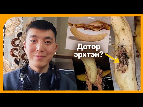 Видео: Бананыг амь оруулсан гаж туршилт