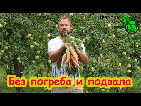 Видео: ХРАНЕНИЕ МОРКОВИ В КВАРТИРЕ. НЕ ДРЯБНЕТ, НЕ СОХНЕТ, НЕ ГНИЕТ. Морковь до весны будет сочной.