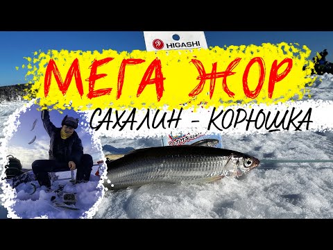 Видео: СУПЕР ЖОР КОРЮШКИ | Сахалин | Опробовал оснастки от Higashi