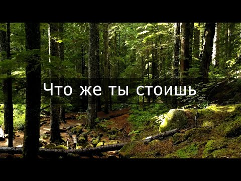 Видео: Что же ты стоишь