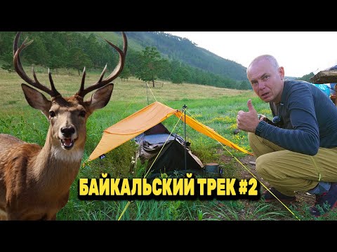 Видео: ОРУТ КОСУЛИ! ПЕРЕВАЛ. Улан-Ганта - Марта - Зун Куржитуй. БАЙКАЛЬСКИЙ ТРЕК 140 КМ. День 1 Серия 2