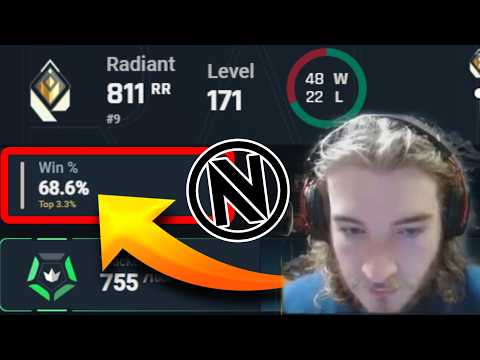 Видео: Что делает Eggsterr таким хорошим?