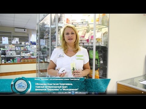 Видео: Чипирование животных