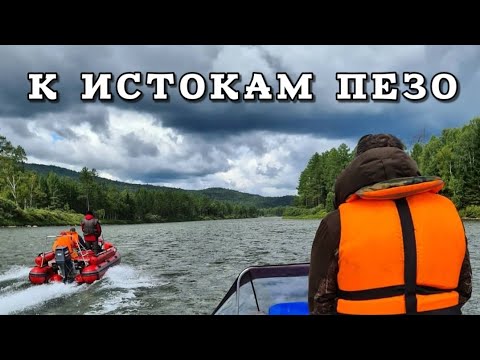 Видео: НЕДОСТУПНЫЕ УГОЛКИ РЕКИ ПЕЗО, НА ЛОДКАХ ФРЕГАТ480, МОТОРЫ YAMAHA90 И MERCURY50.