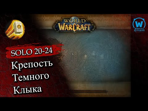 Видео: Прокачка паладина соло по подземельям 20-24 уровни Wotlk Classic #wotlk  #wotlkclassic