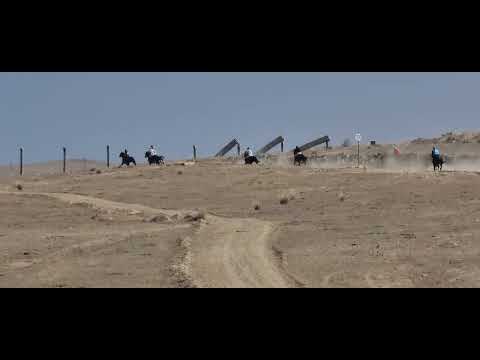 Видео: Спринт Жорго 23 02 2025 Тоң