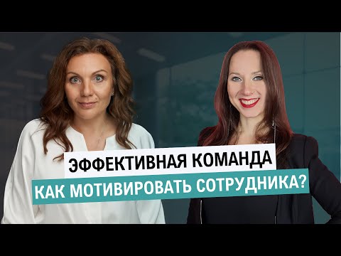 Видео: Как сформировать команду мечты? Подбор сотрудников | Творческий руководитель= творческие сотрудники?