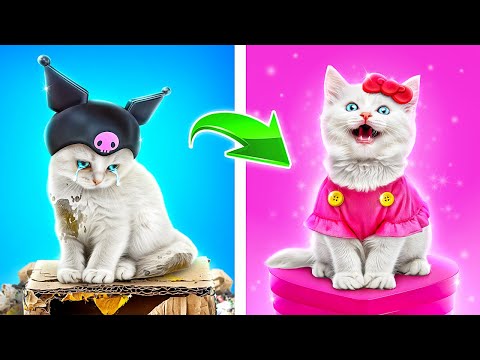 Видео: Hello Kitty спасла бездомного котёнка! Лайфхаки для владельцев животных