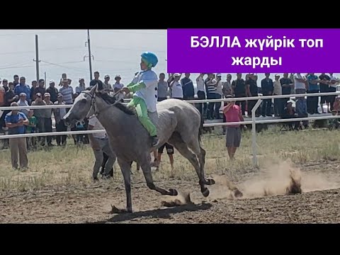 Видео: БЭЛЛА ЖҮЙРІК ТОП ЖАРДЫ Мақаншы ауданындағы аламан бәйге