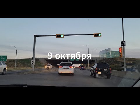 Видео: Влог работа в Калгари и разговоры о жизни