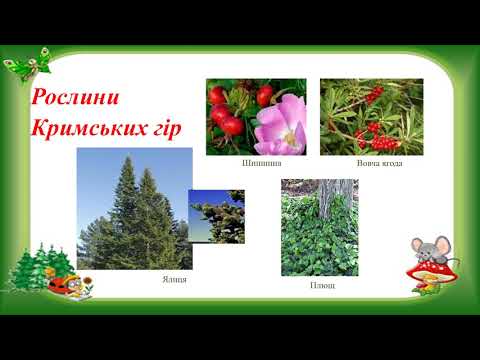 Видео: Природознавство  4клас Кримські гори