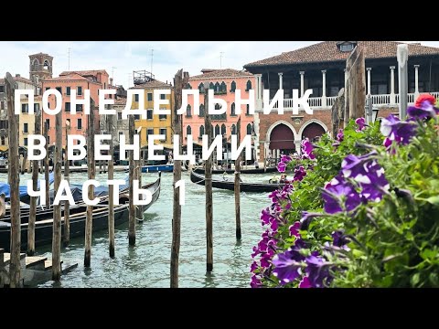 Видео: Венецианский понедельник 💯🤩🌿 Часть 1 ☝️💃
