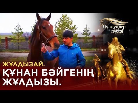 Видео: Жұлдызай. Құнан бәйгенің жұлдызы. «Дүлдүлдер дүбірі». Бәйге