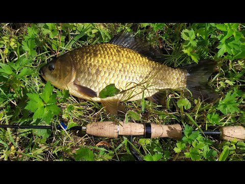 Видео: #170 Мормышинг | MUKAI Air Stick AS-1652-S "ZANMU Slow" | За трофейными карасями |