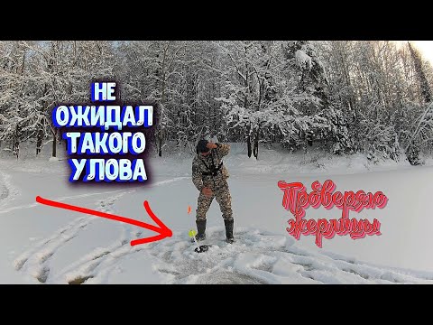 Видео: ОСТАВИЛ ЖЕРЛИЦЫ НА НОЧЬ а утром НЕ ОЖИДАЛ такого улова