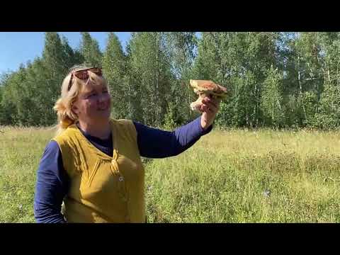 Видео: Базарный Карабулак. Саратовская область. Лес, сад, огород! Грибы, ягоды, овощи! Как живет село!