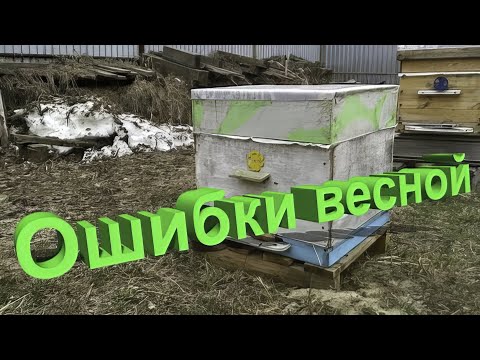 Видео: Профессор Кашковский про основные ошибки весной