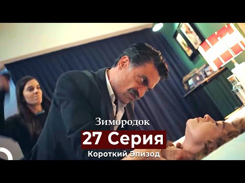 Видео: Зимородок 27 Cерия (Короткий Эпизод) (Русский дубляж)