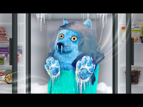 Видео: Найдена мёртвой в морозильной камере ❄️💀