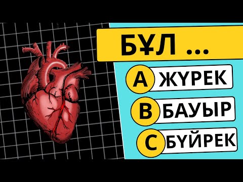 Видео: 🧠 АДАМ ОРГАНИЗМІ ТУРАЛЫ ҚЫЗЫҚТЫ СҰРАҚТАР | БҰЛ НЕ? | БІЛІМ QUIZ 2025 ✅