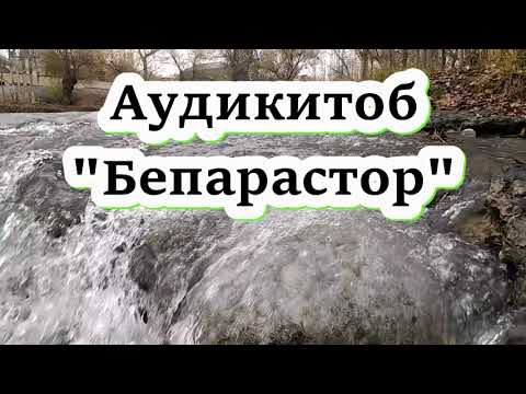 Видео: (Қ.1) Аудиокитоб Бепарастор. Ҳектор Мало Қисми 1 هکتور مالو  بی خانمان