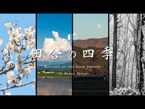 Видео: Документирование четырех сезонов в сельской местности Японии｜ Весна, лето, осень и зима｜4K SDR