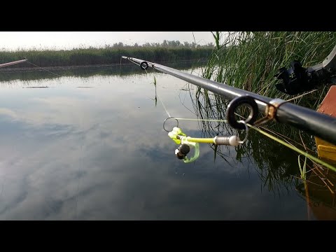 Видео: Карась с мостиков на ОЗЕРЕ ЧП В КОНЦЕ ВИДЕО