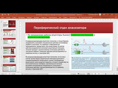 Видео: Анализаторы и сенсорные системы