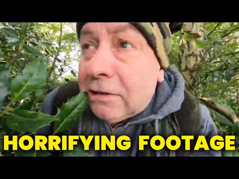 Видео: Эти туристы сняли что-то СТРАШАЩЕЕ в лесу. Тревожное видео