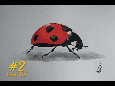 Видео: Как нарисовать божью коровку